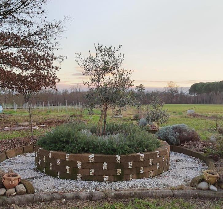 Villa Donnola: Casa Rosmarino Fucecchio Kültér fotó