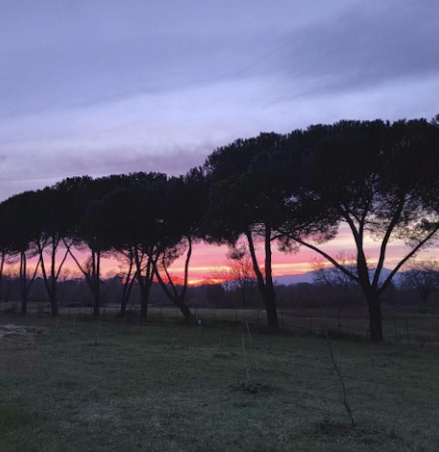 Villa Donnola: Casa Rosmarino Fucecchio Kültér fotó